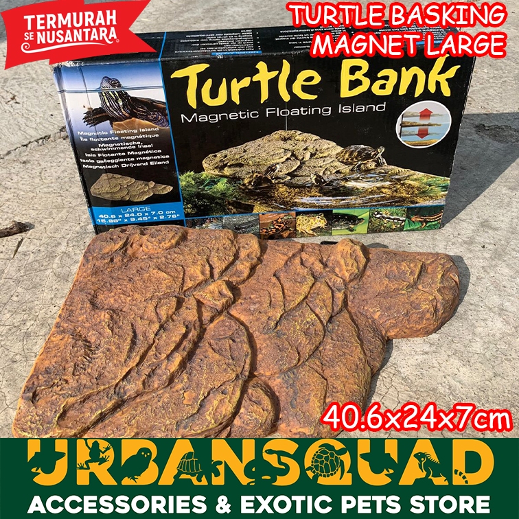 TURTLE BANK EXOTERRA BASKING SPOT KURA AIR RES ALBINO BRAZIL DAMER