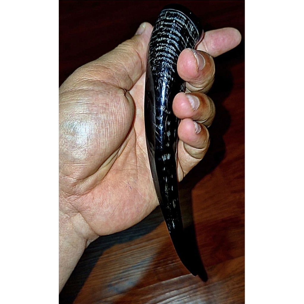 Once pipa tanduk kamhut jumbo & panjang