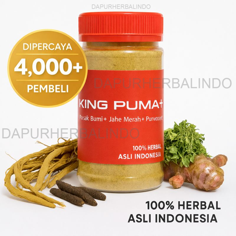 Jahe Merah plus Purwoceng dan Pasak Bumi