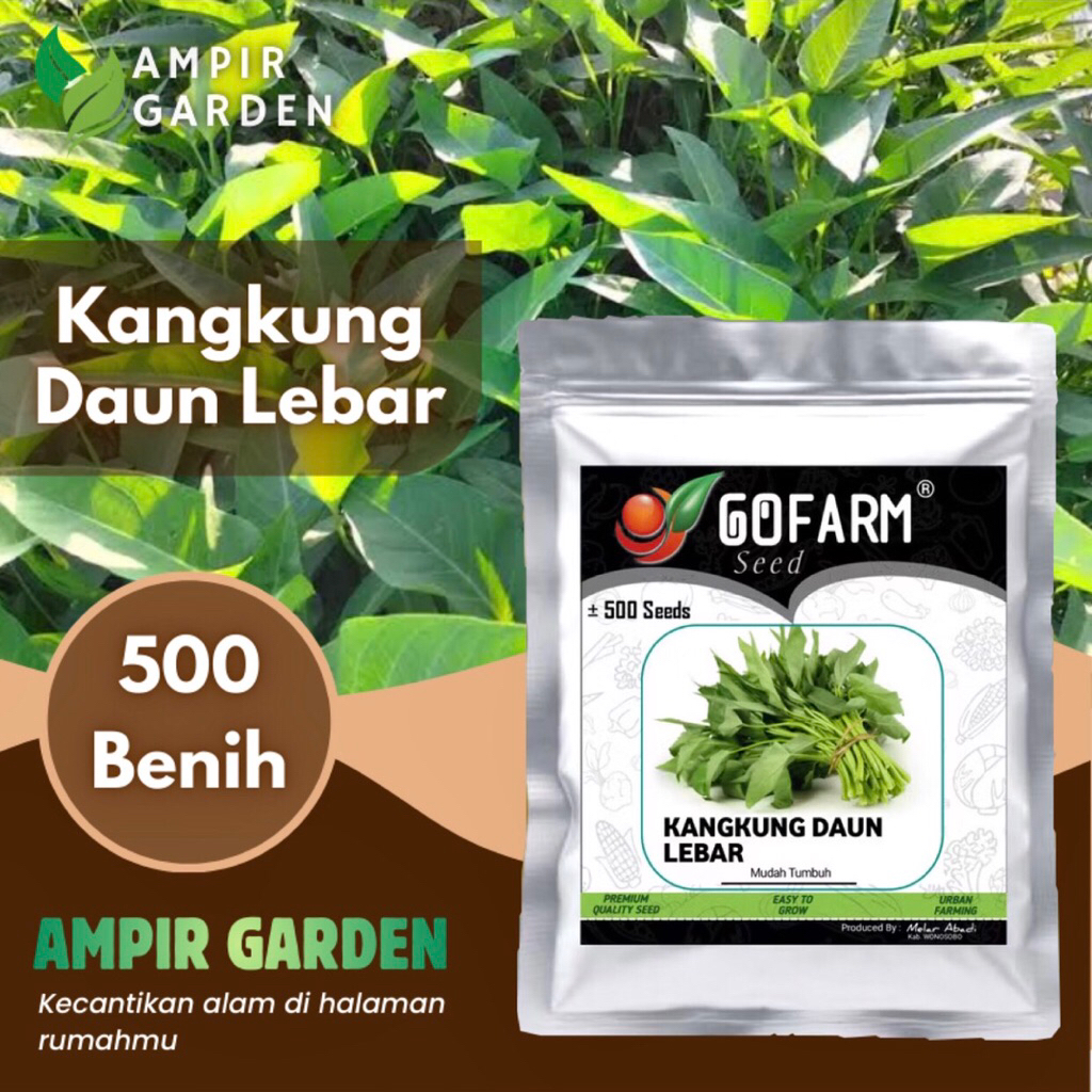 Benih KANGKUNG DAUN LEBAR Kemasan Premium GOFARM / Biji Benih Tanaman Sayuran Kangkung Daun Lebar Hi