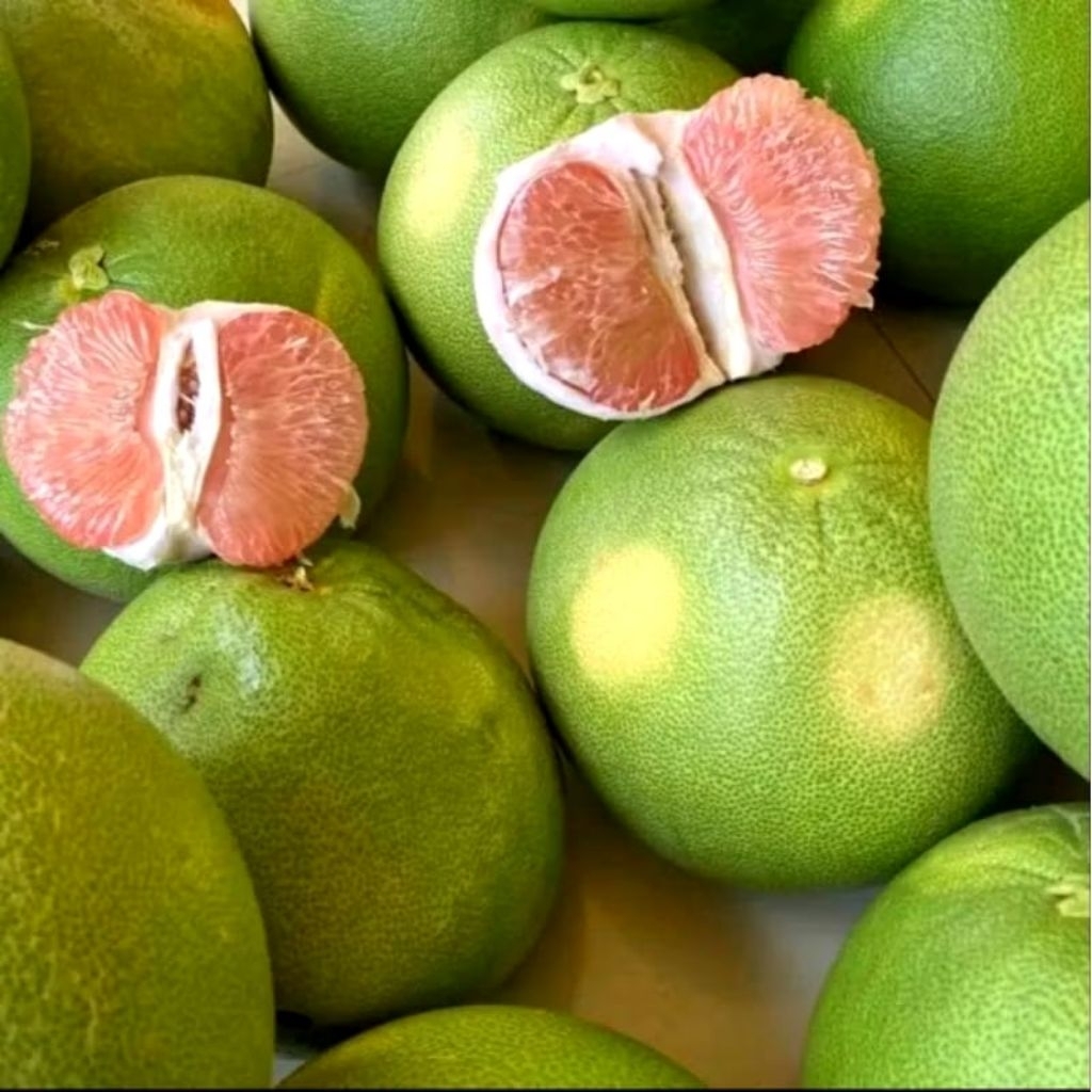 Jeruk PAMELO Madu Manis 700 gr - 900 gr