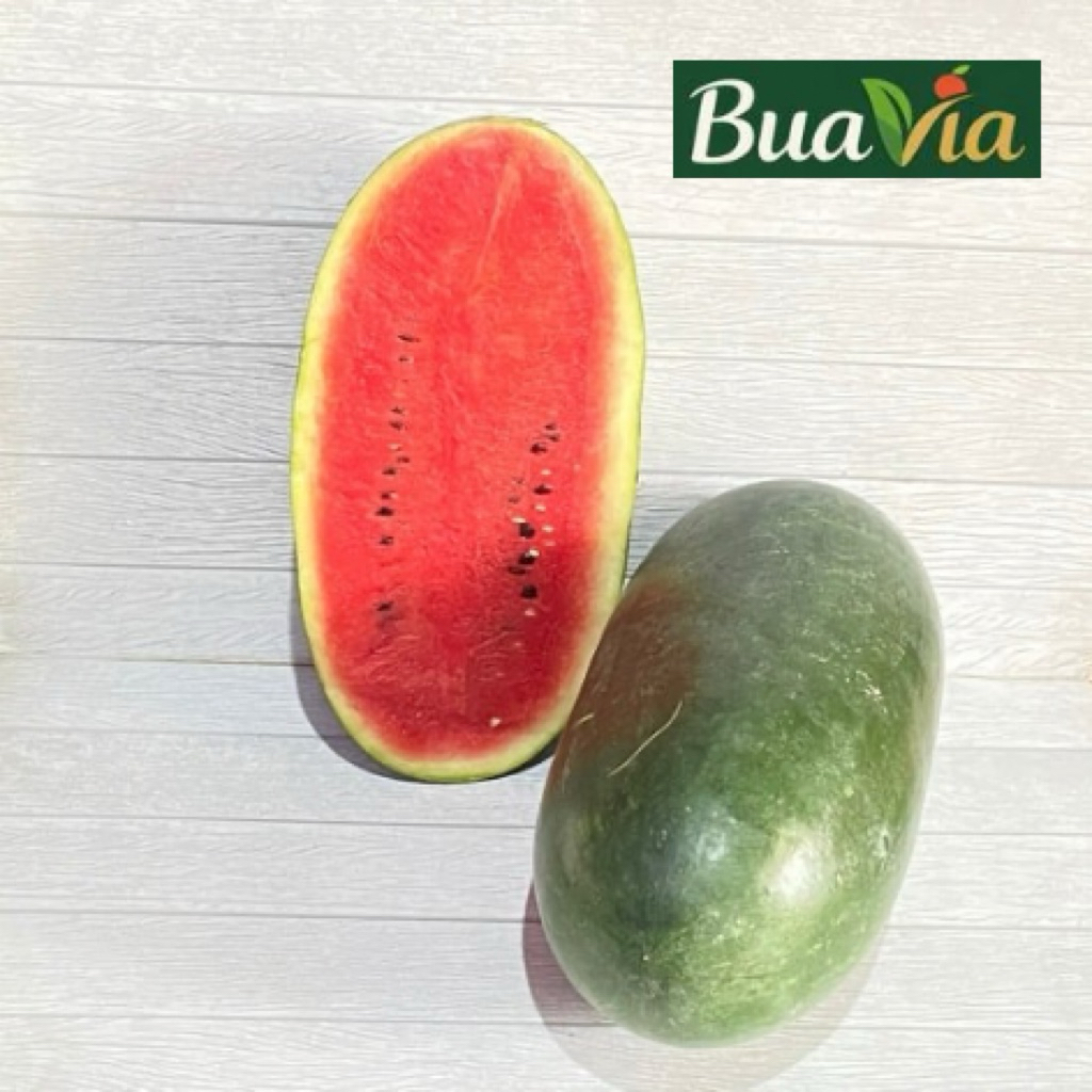 BUAH SEMANGKA INUL MERAH BERBIJI SEGAR MANIS HARGA PER BUAH