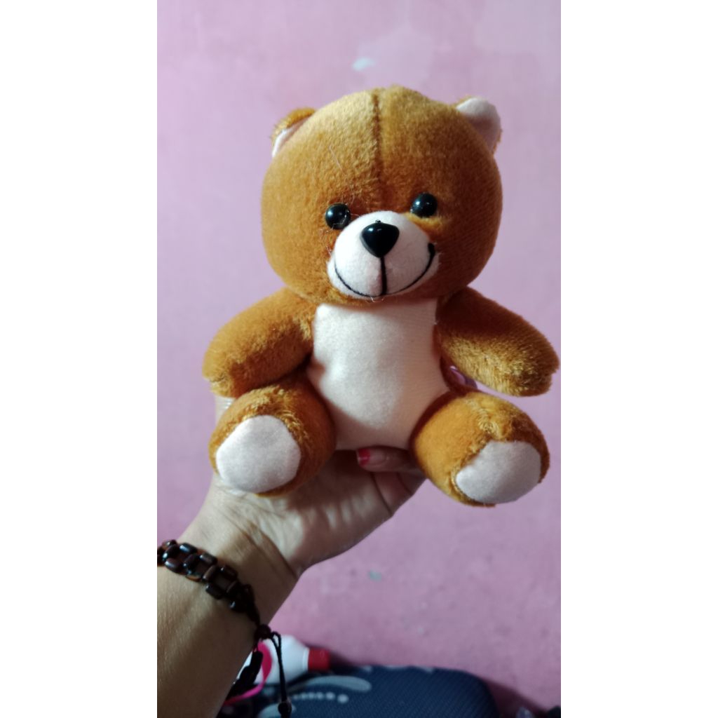boneka tedy,boneka wisuda, boneka beruang,boneka untuk bucket ukuran 13cm