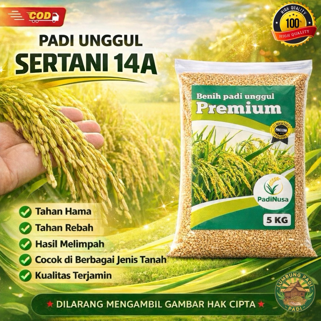Benih padi SERTANI 14 bibit padi premium 1-5KG berkualitas