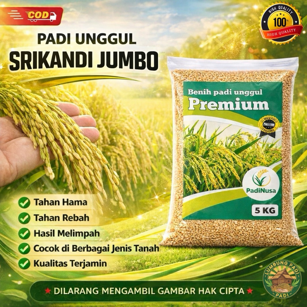 Benih padi SRIKANDI JUMBO bibit padi premium 1-5 KG benih padi unggul berkualitas