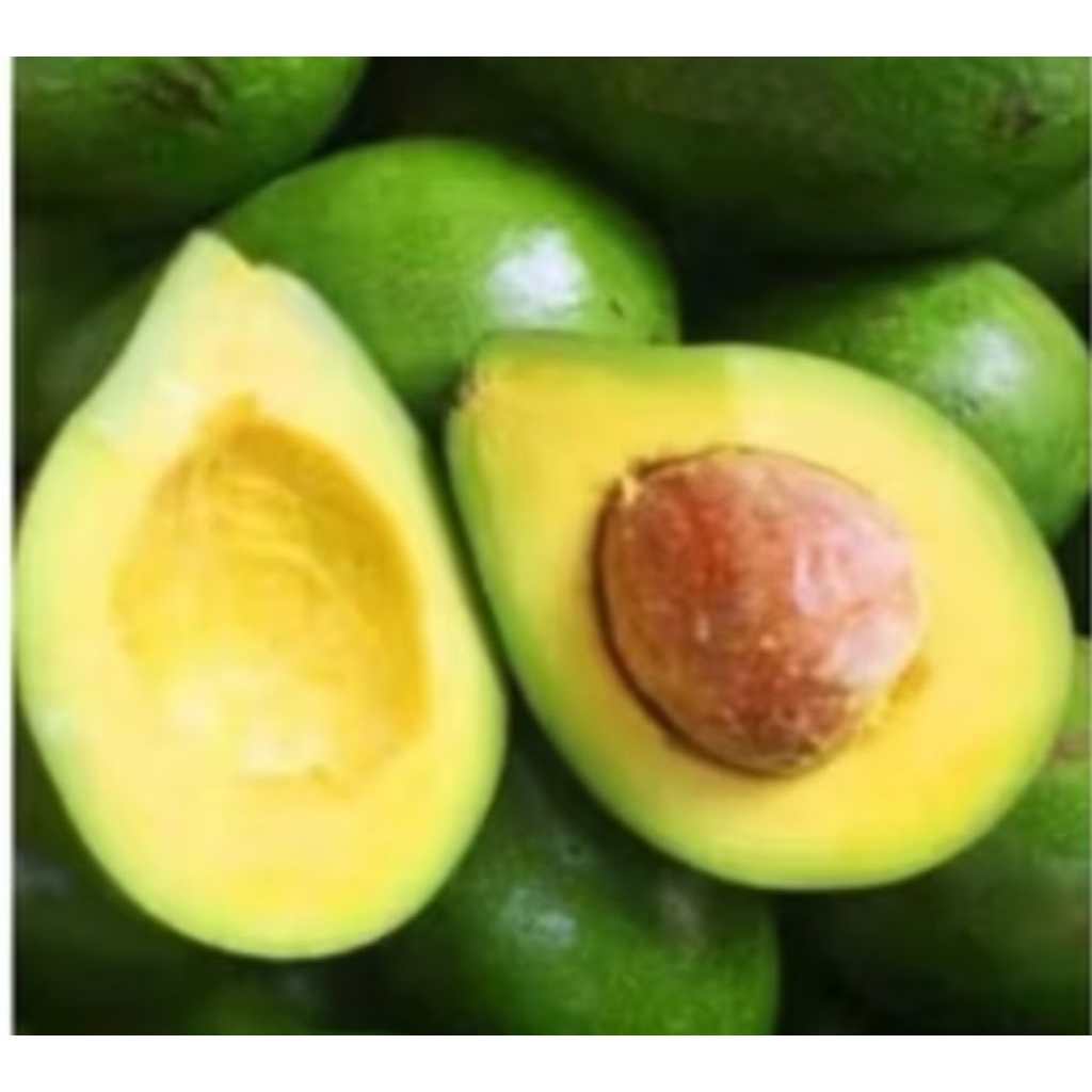 alpukat/avocado mentega lokal 1kg isi kurang lebih 3-5 buah rasa manis khas dari pegunungan daerah G