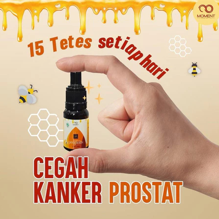 Propolis Anak Alami dan Berkualitas MOMENT PROPOLIS Original