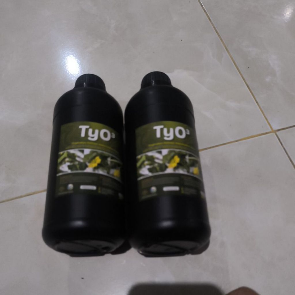 Hormon Serum Polinasi Melon TYO3