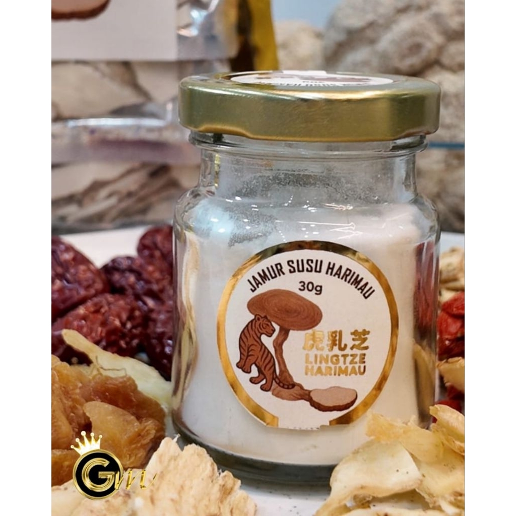 jamur susu harimau (LINGTZE HARIMAU) 60gr