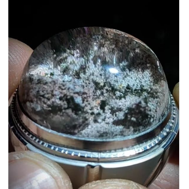 Kinyang Karang Aquarium Pelangi HQ (Real Pict)