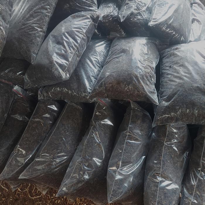 Thebest- Media Tanam Aglonema Media Tanam Siap Pakai Fermentasi