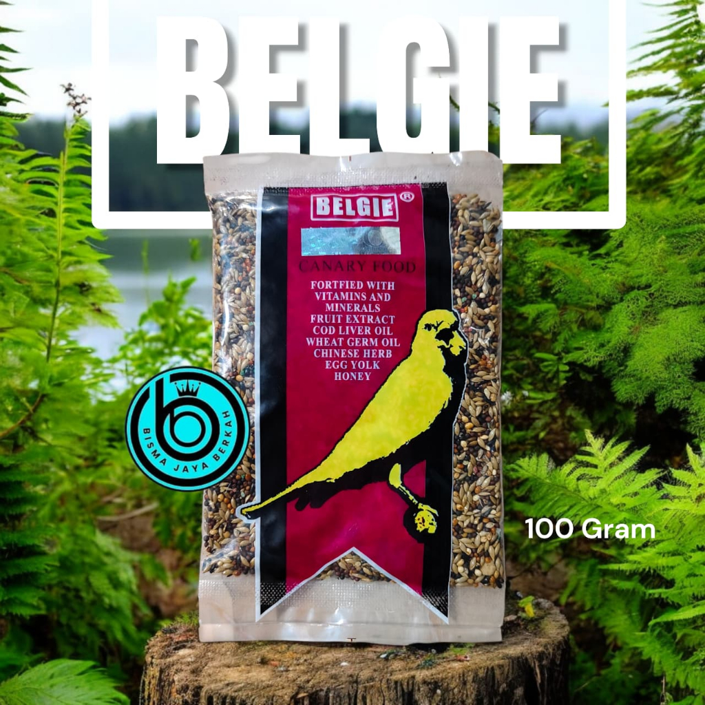 BELGI PAKAN KENARI BERKUALITAS TINGGI