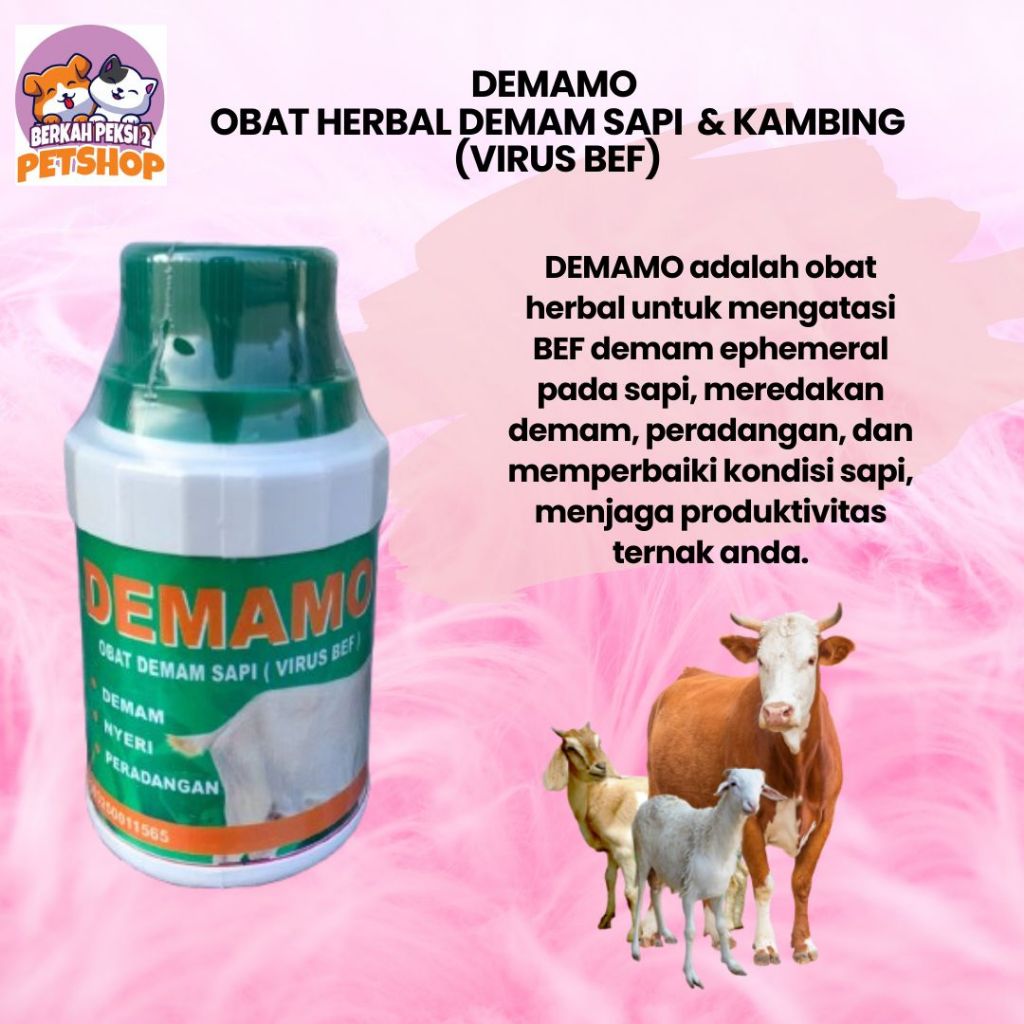 OBAT DEMAM DEMAMO HERBAL DEMAM PADA SAPI ( VIRUS BEF)NYERI DAN PERADANGAN