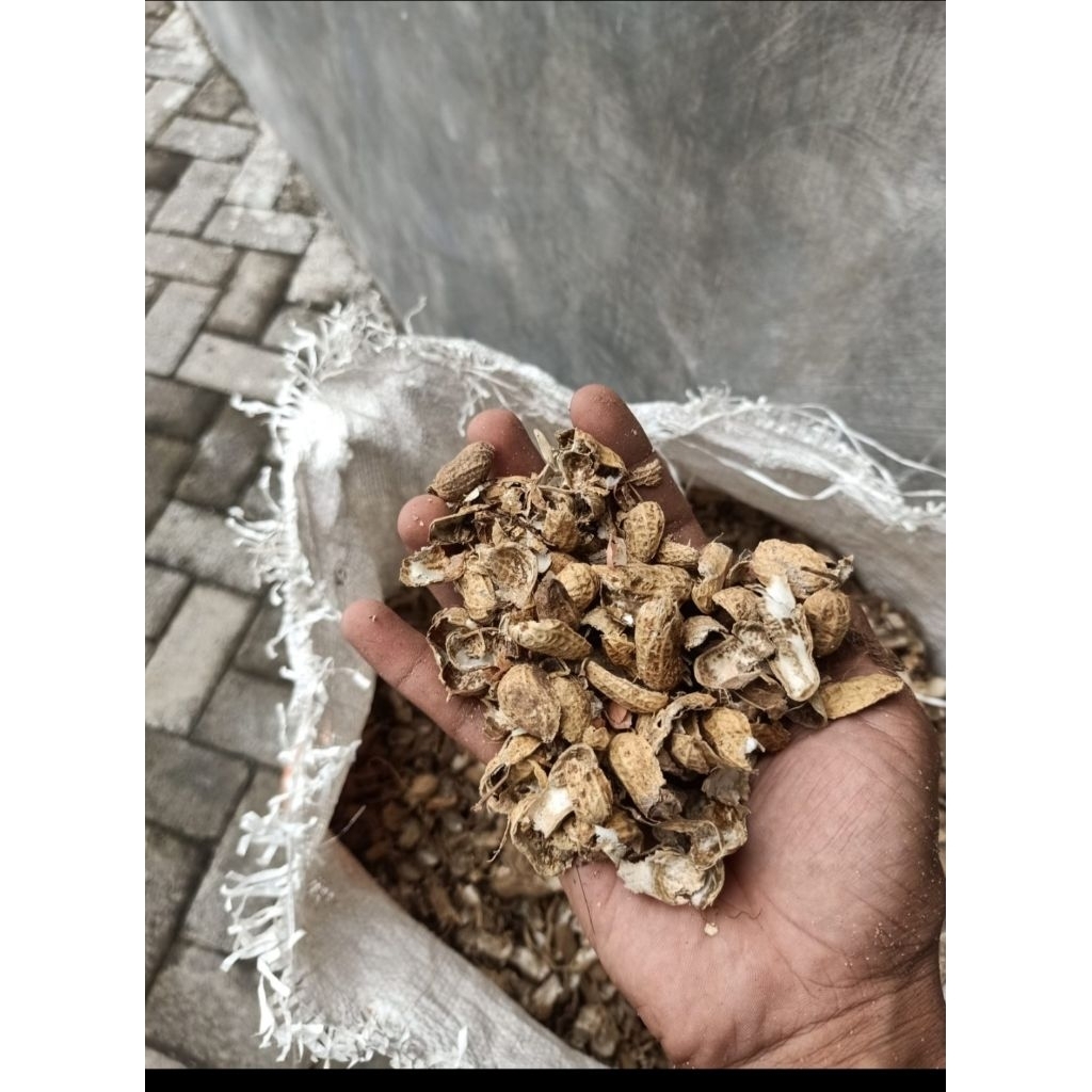 kulit kacang tanah kering/pakan ternak kulit kacang/pakan ternak/konsentrat campuran