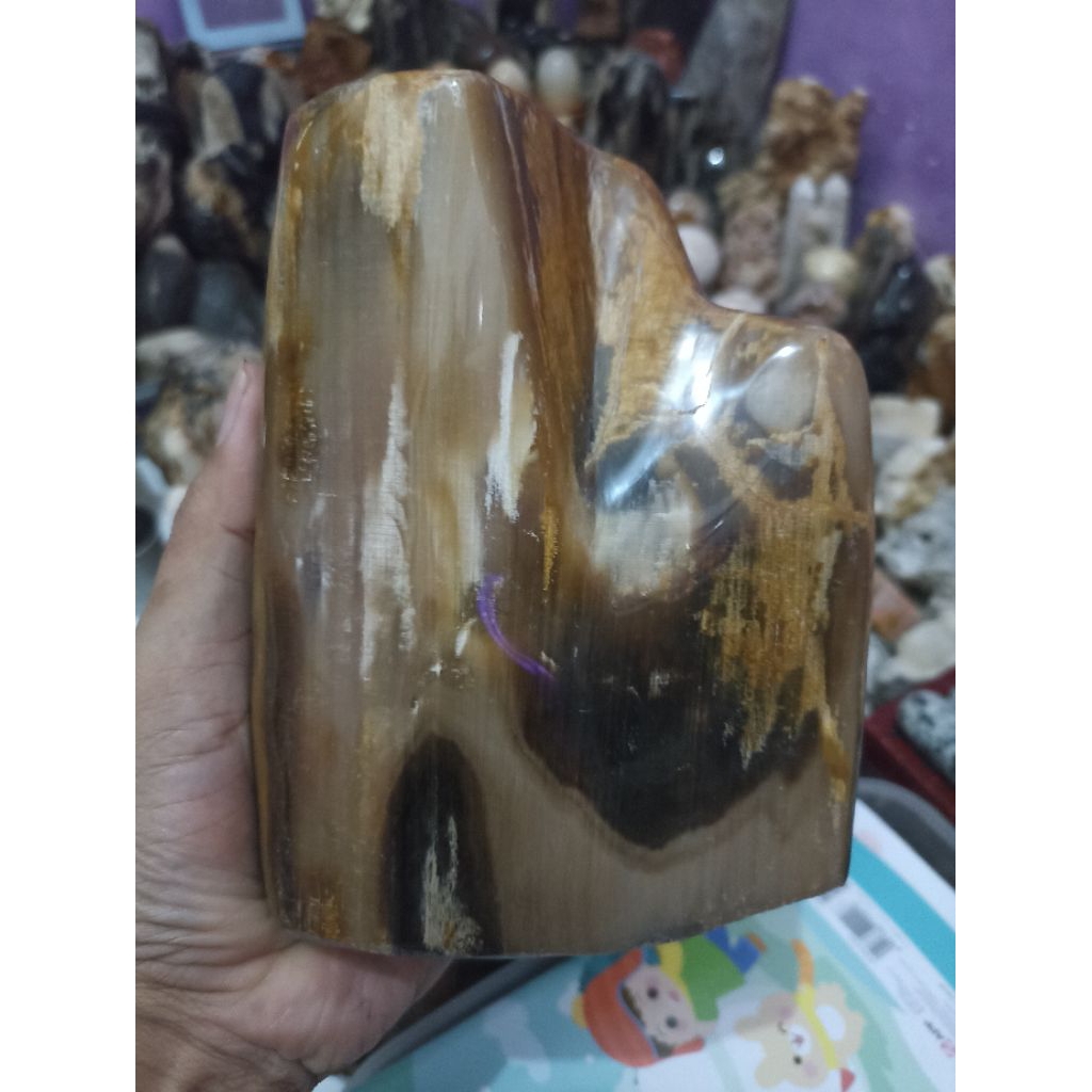 Pajangan Fosil Kayu Kristal (Tembus Senter)