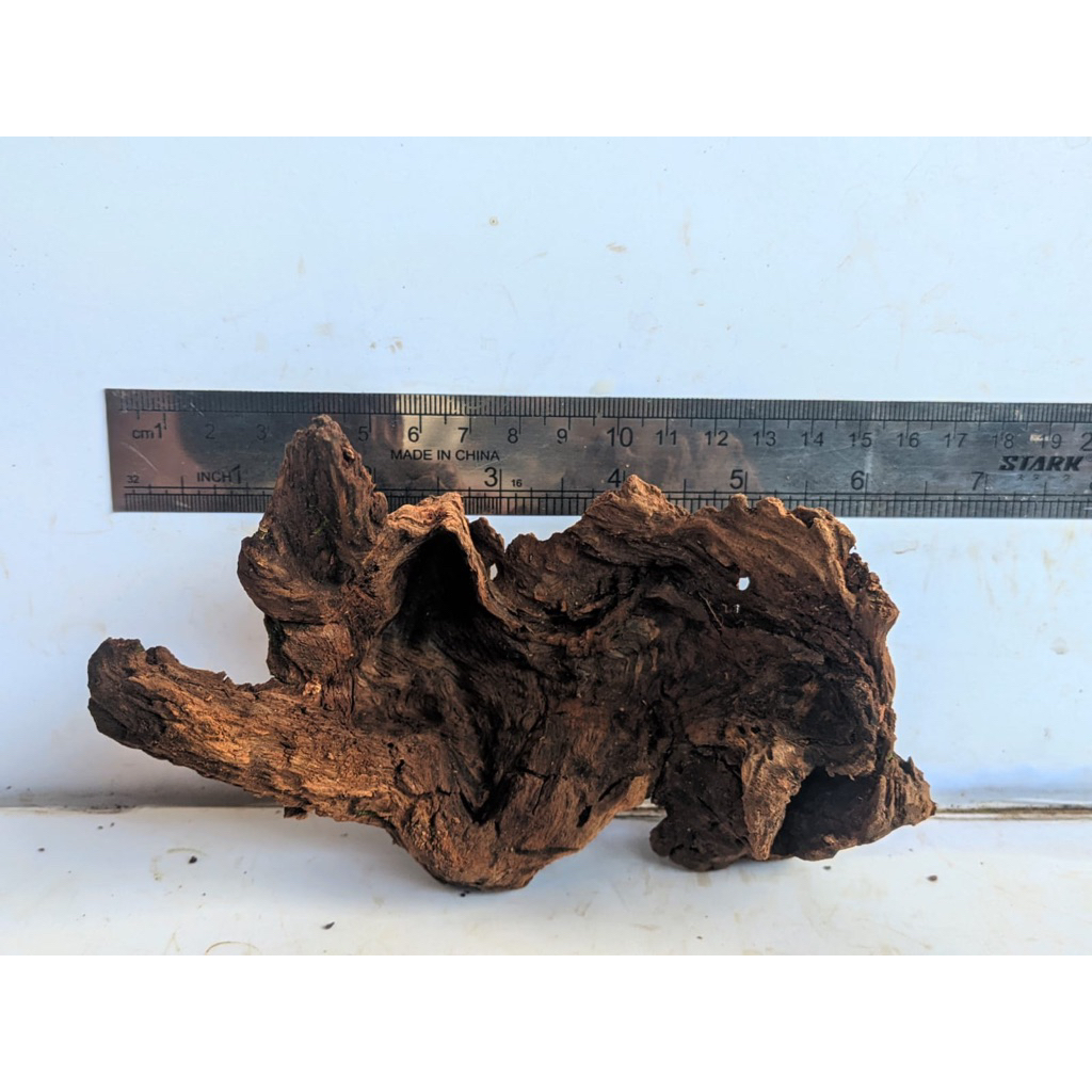 kayu rentek mini tenggelam