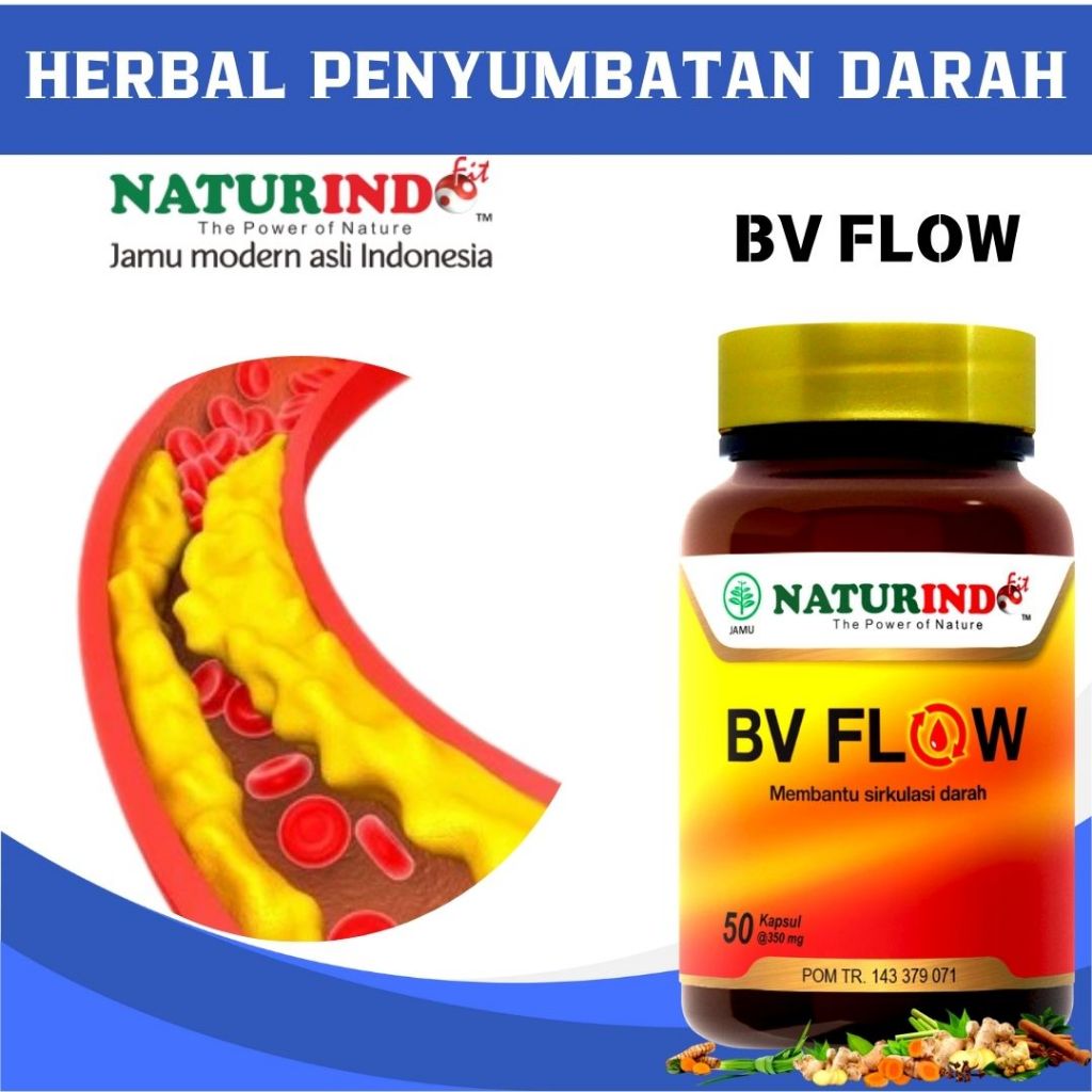 Obat herbal penyumbatan pembersih pembuluh darah kotor pelancar darah ampuh herbal bv flow