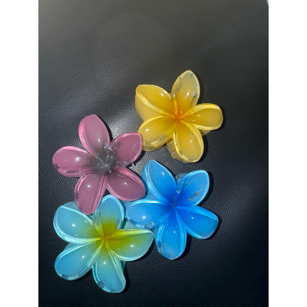 JEDAI KAMBOJA JEDAI WARNA 6CM