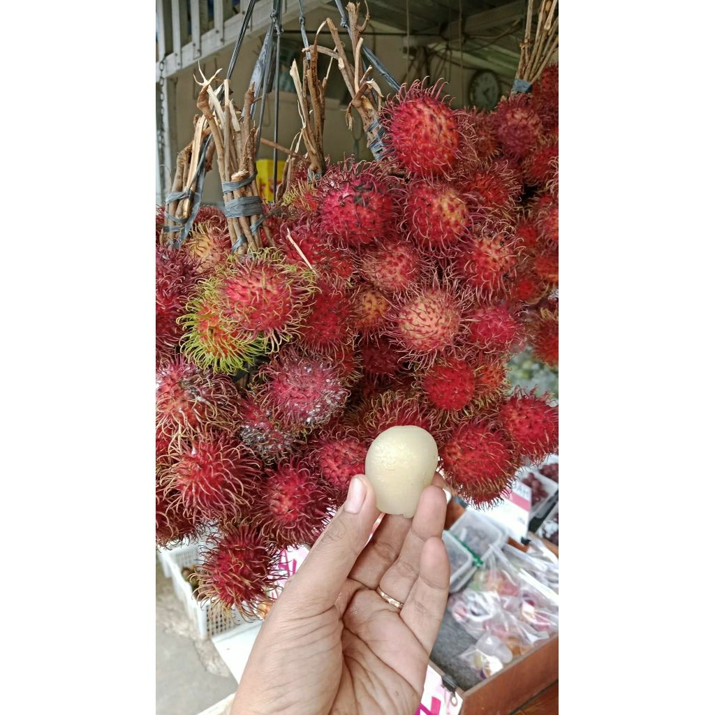 Rambutan Binjai Ace binjai 1kg