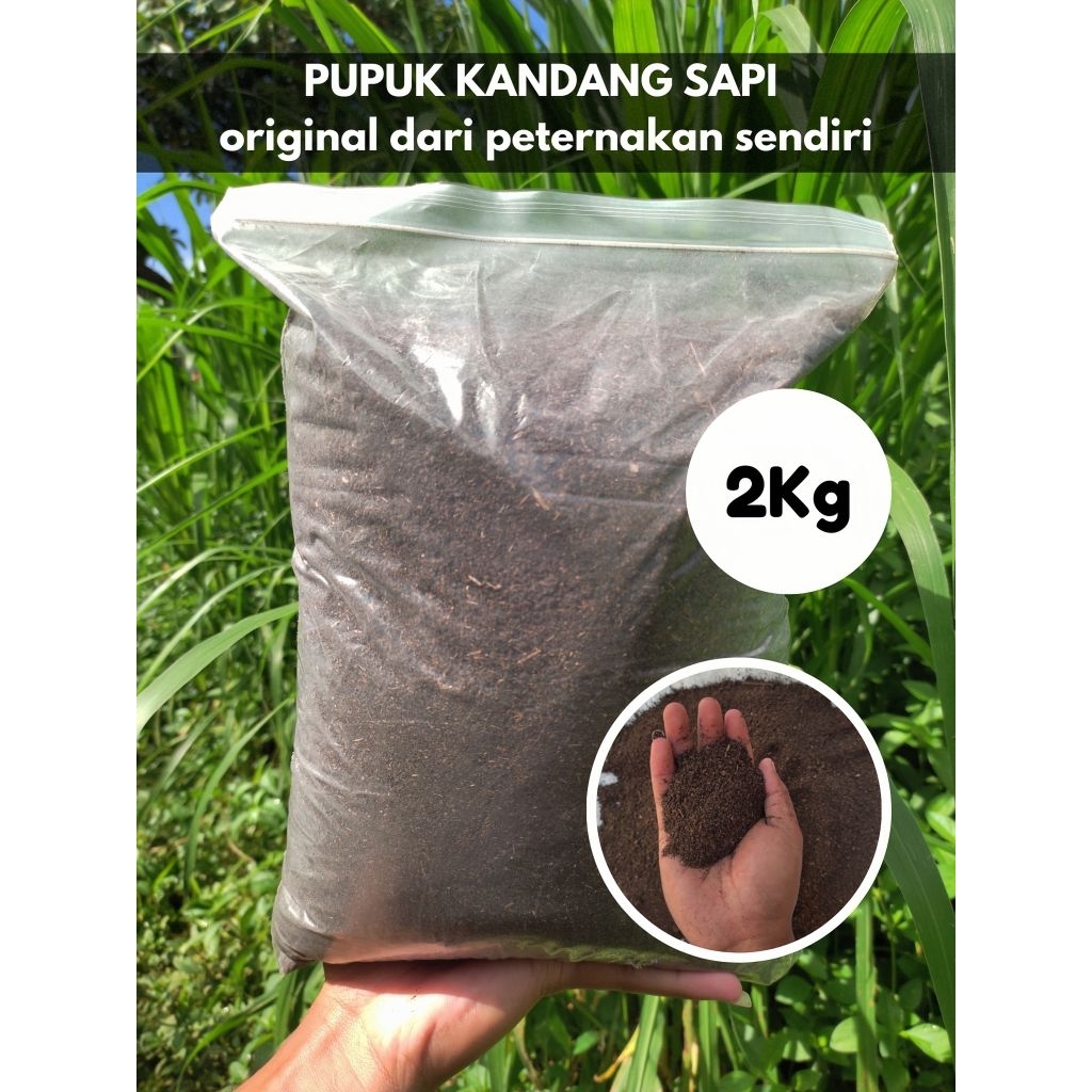 Pupuk Kandang Kohe Sapi Murni 2 kg Super Organik