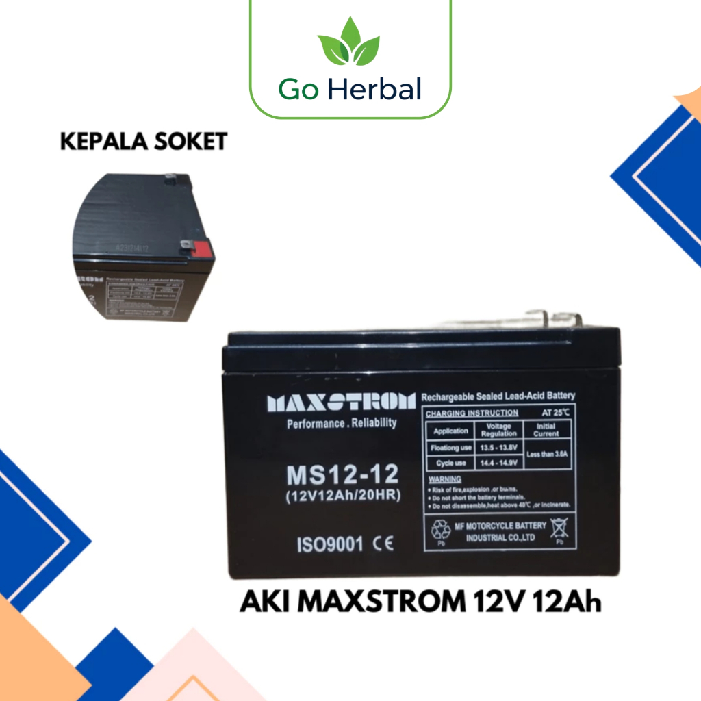 Aki Maxstrom Aki Kering Aki Sepeda Listrik 12V 12AH