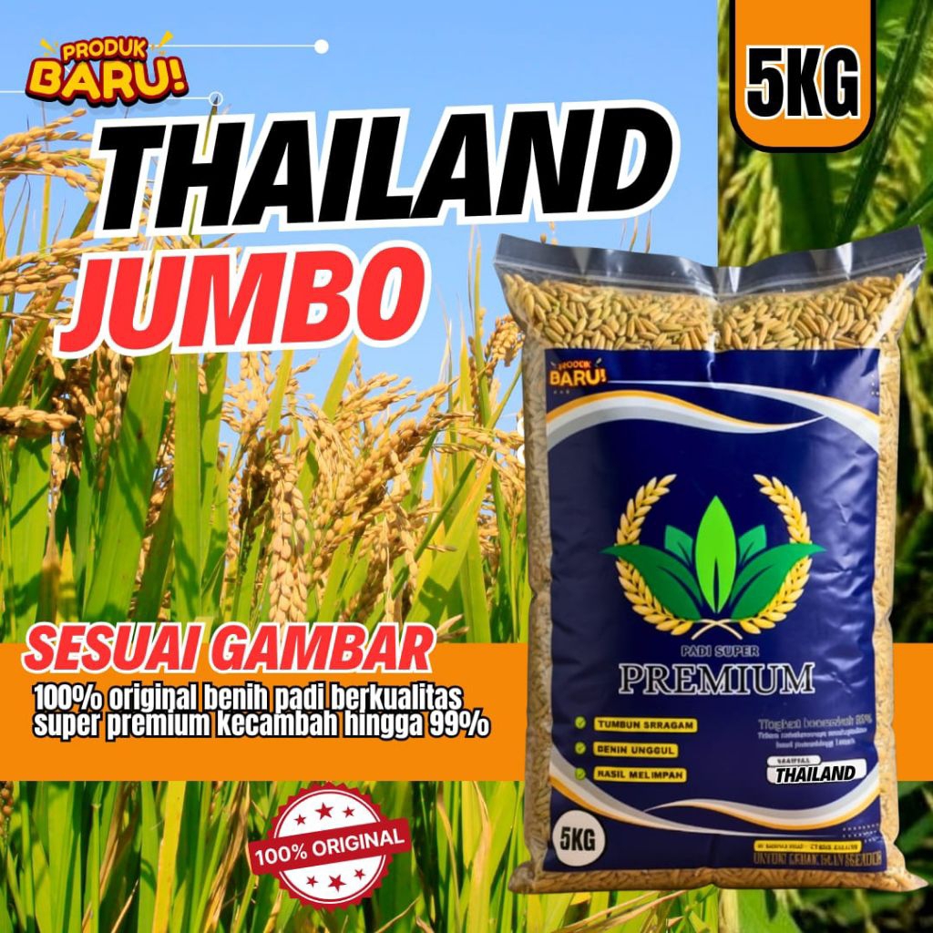 Benih padi Thailand jumbo original 5kg ori
