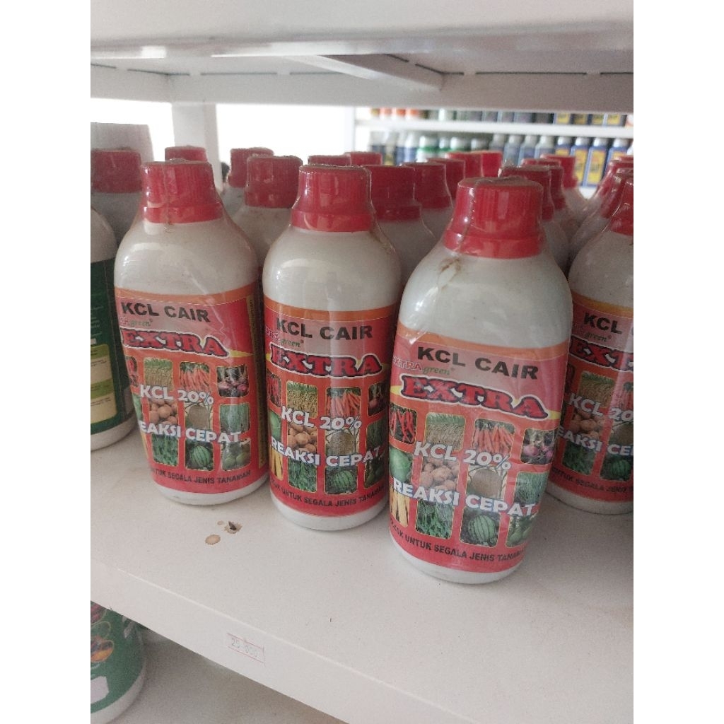 KCL CAIR BIO EXTRA GREEN