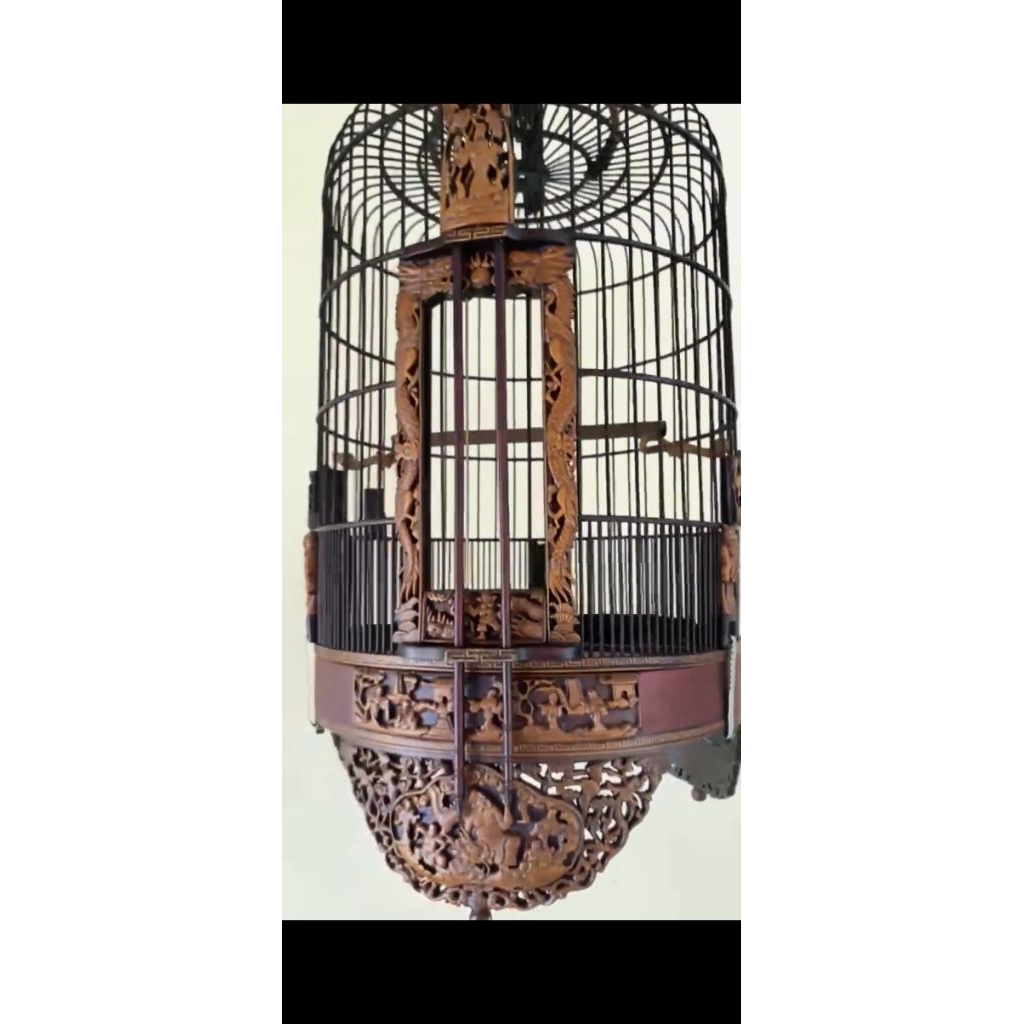 sangkar cungkok anis merah