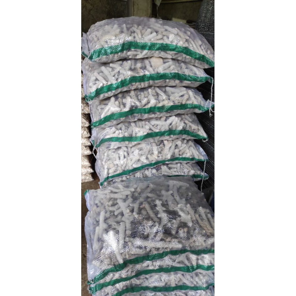 Batu Karang Jahe Aquascape