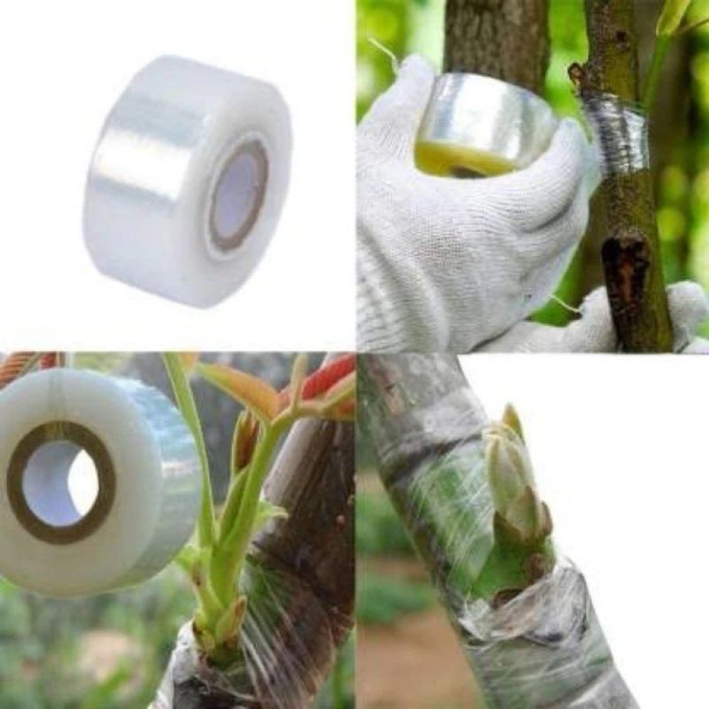 Grafting Tape Plastik Untuk Okulasi/ Tape Okulasi
