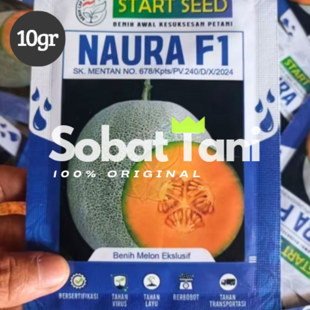 Benih Melon Madu Naura F1 – Start Seed 10gr | Tahan Virus