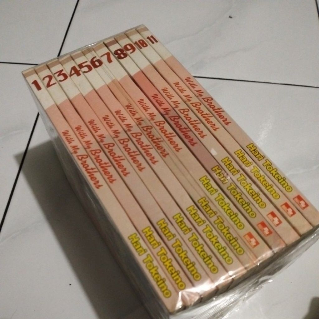 komik with my brothers