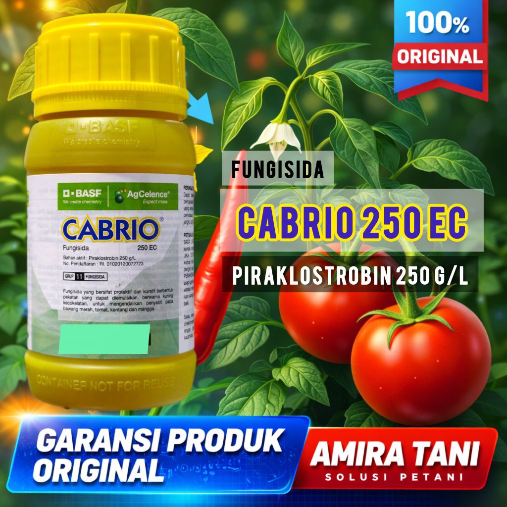 Fungisida CABRIO 250 EC CAIR Kemasan 250 ml solusi Patek dan alternaria