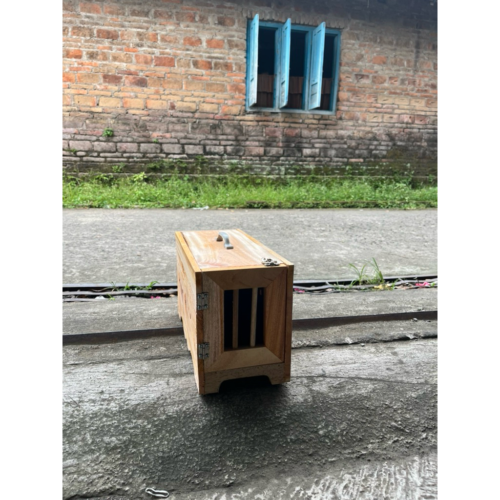 BOX burung free fly bahan kayu berkualitas