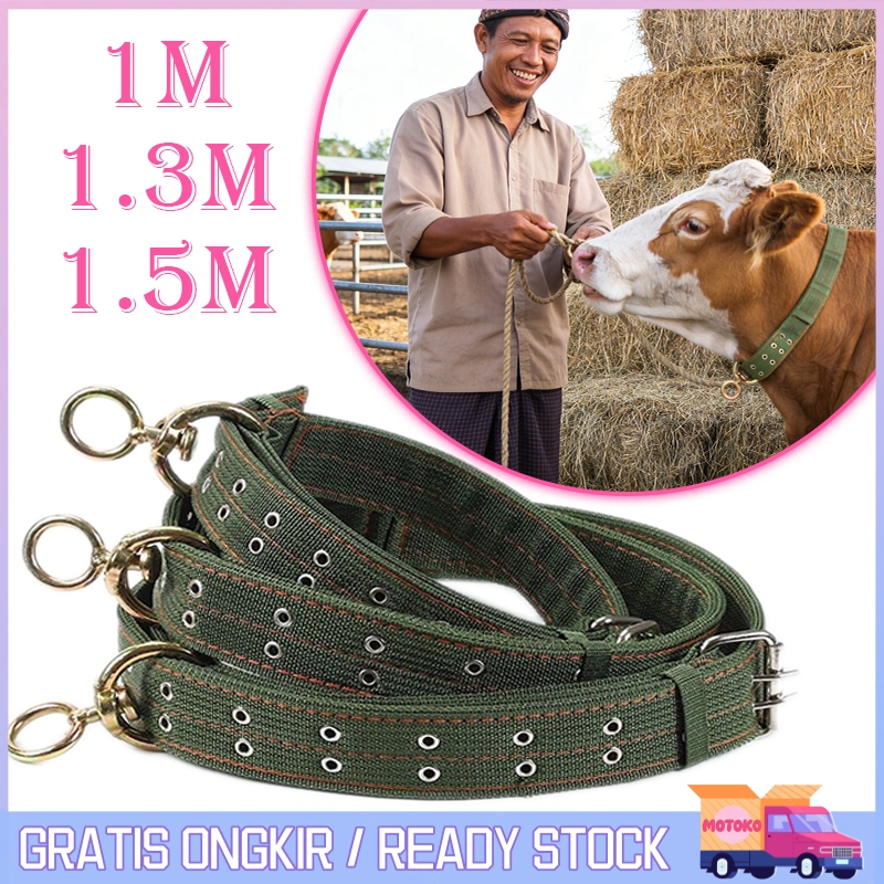 Tali Sapi Kanvas Keluh Sapi Pedet Kalung Ternak Kuat Tali Tuntun Hewan Tali Kambing dan Kalung Sapi 