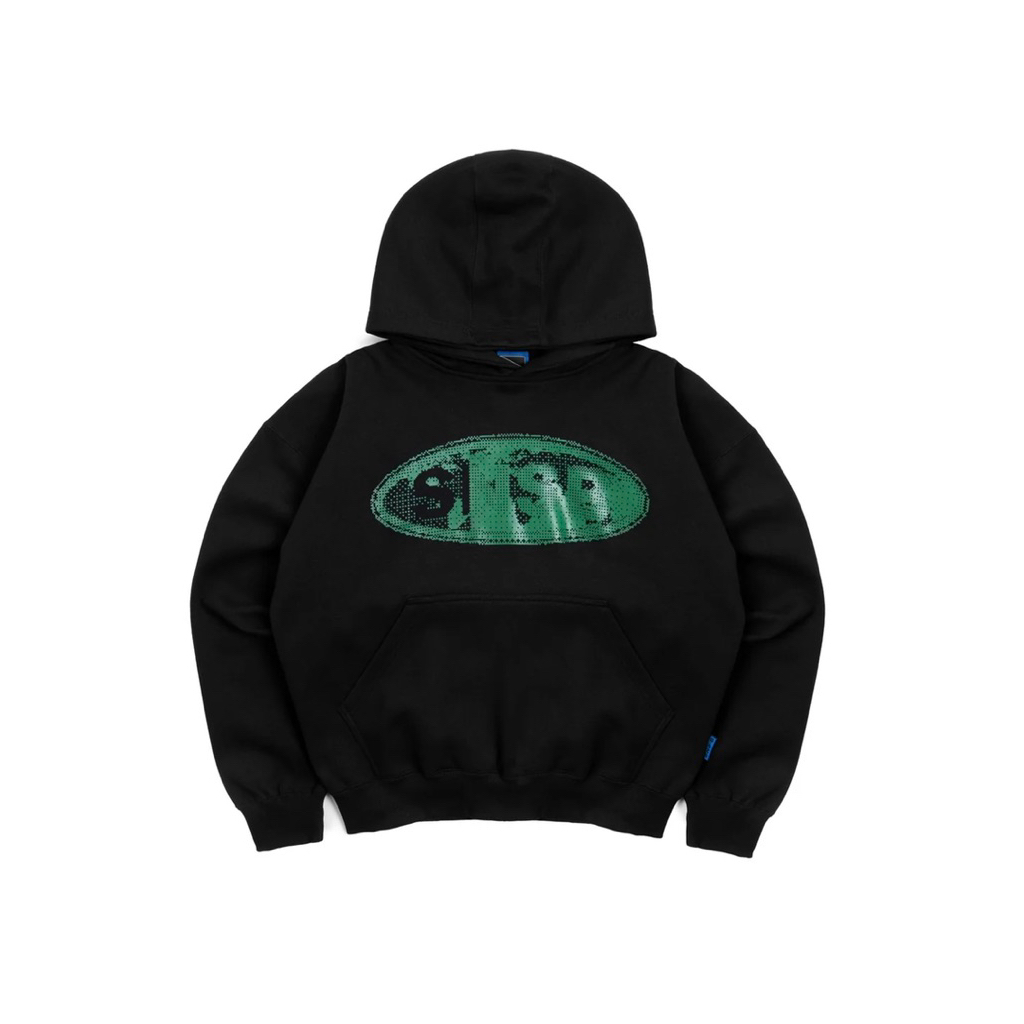 hoodie raster snsb world