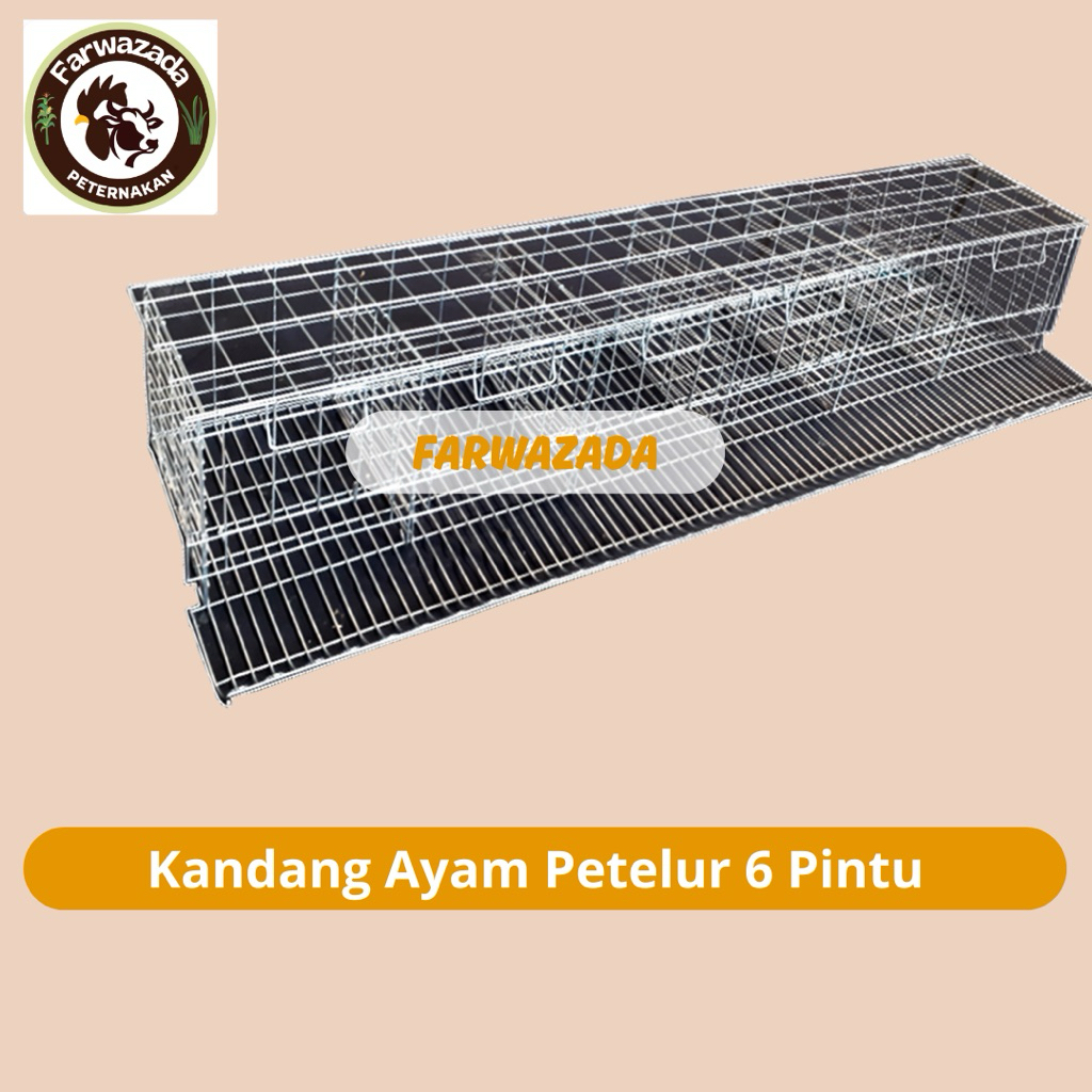 Kandang Baterai Kandang Ayam Petelur isi 6 ekor 120 cm