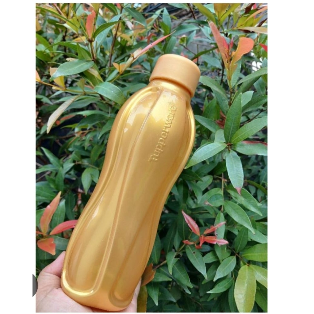 Botol Minum Tupperware Eco 500 ml limited edition Gold series Promo termurah