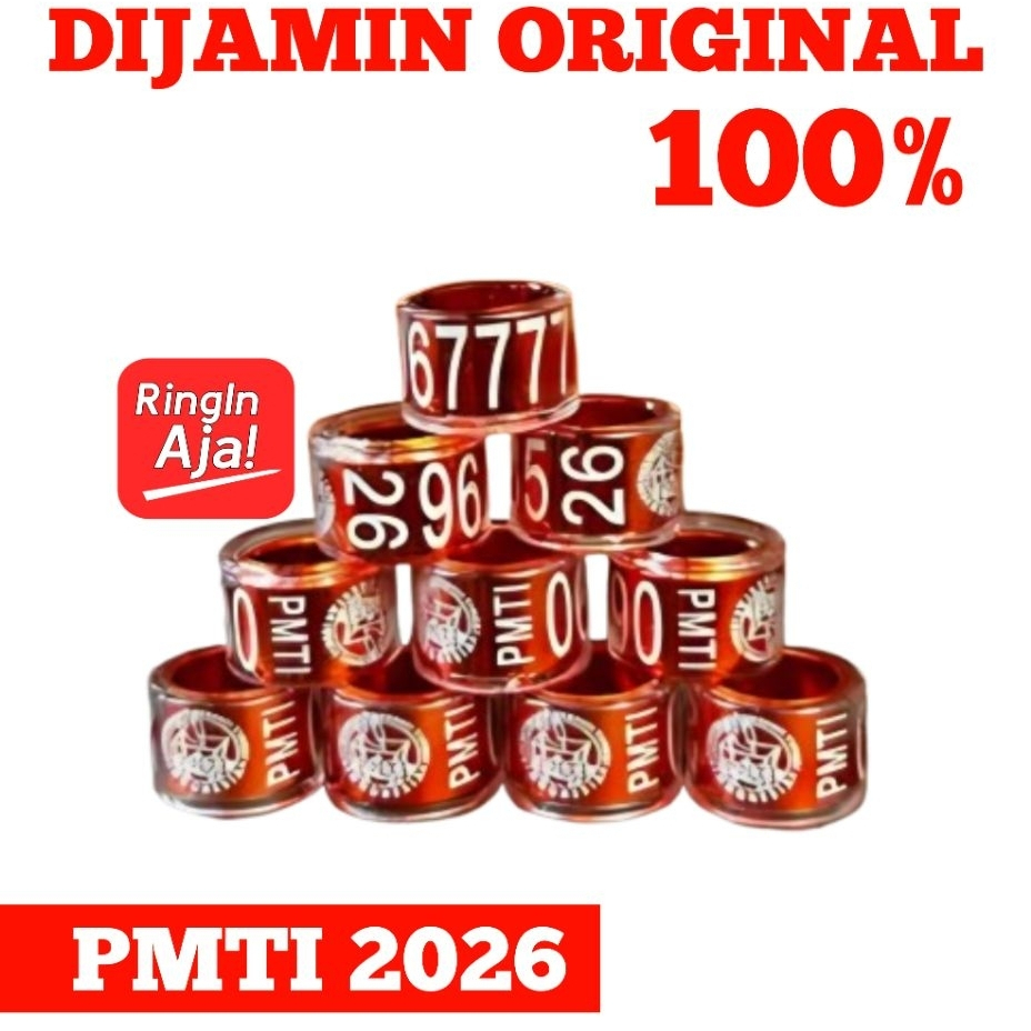 RING PMTI 2026 RING MERPATI PMTI RESMI 2026