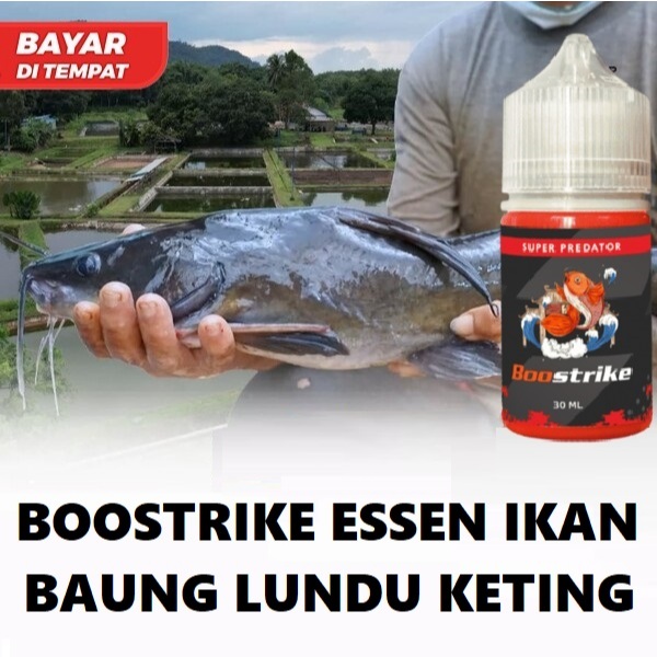 BOOSTRIKE ESSEN IKAN BAUNG LUNDU KETING STRIKE TERUS ISI 30ML