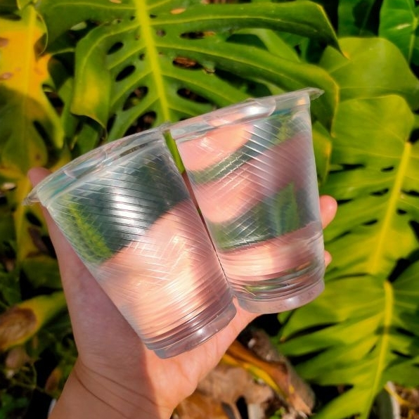 Heviitro Air Mineral 220ml Cup (1 Dus x 48 Cup)