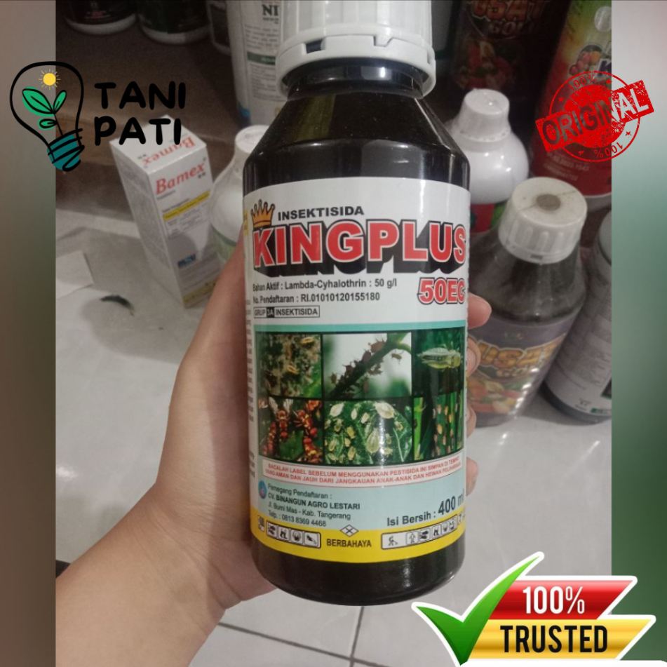 Insektisida RajaPlus KingPlus 50 EC | insektisida racun kontak dan lambung berbentuk pekatan yang da