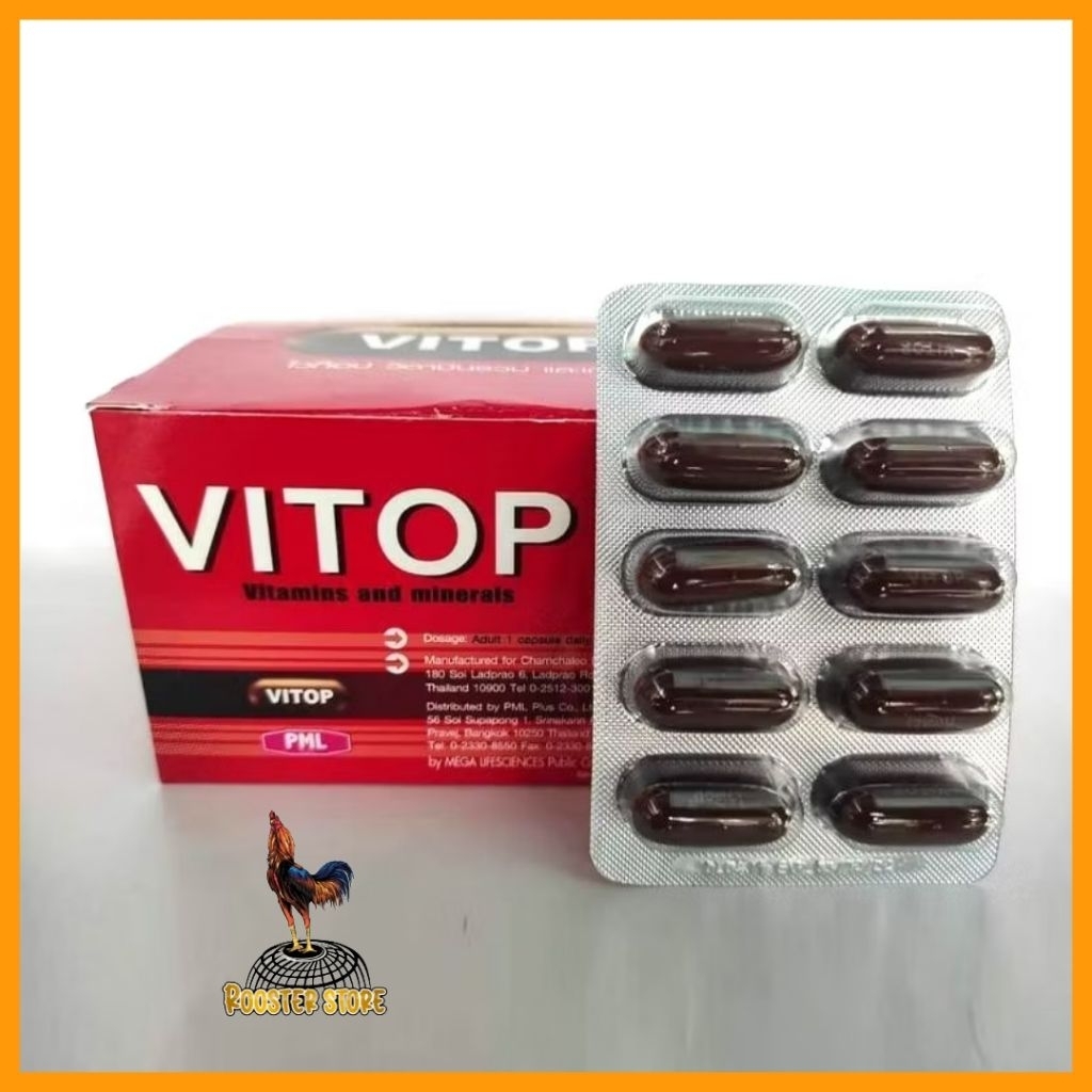 vitop supplement ayam petarung