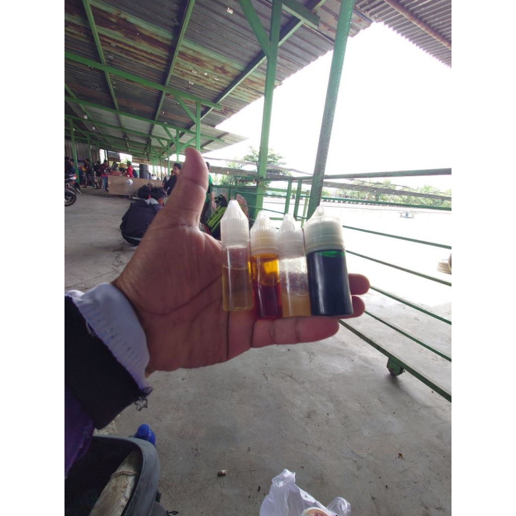 30ml Essen Ikan Mas Aroma Stroberi Melon Kweni - Cocok Segala Umpan, Aman Dipakai, Medan Air Beragam