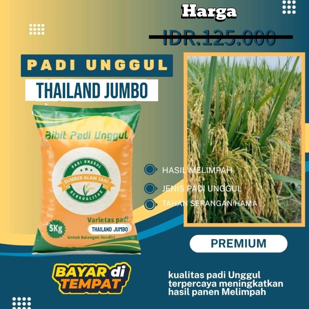 Bibit  Padi Thailand Jumbo Super - 5 kg Original Best Seller