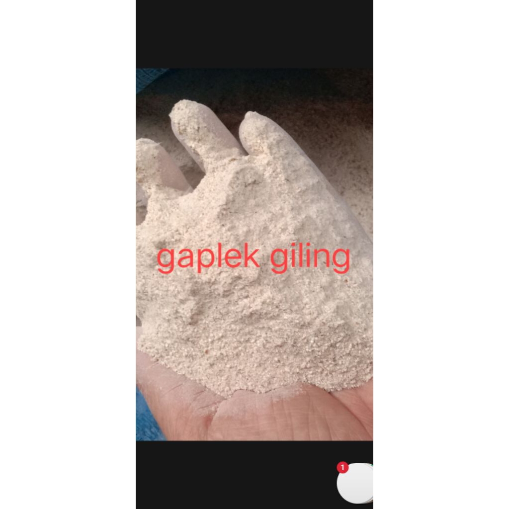 tepung gaplek halus pakan ternak