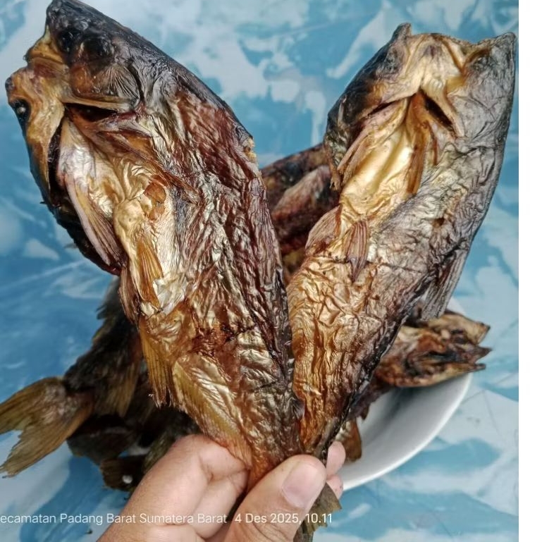 Ikan salai patin asli padang sumbar
