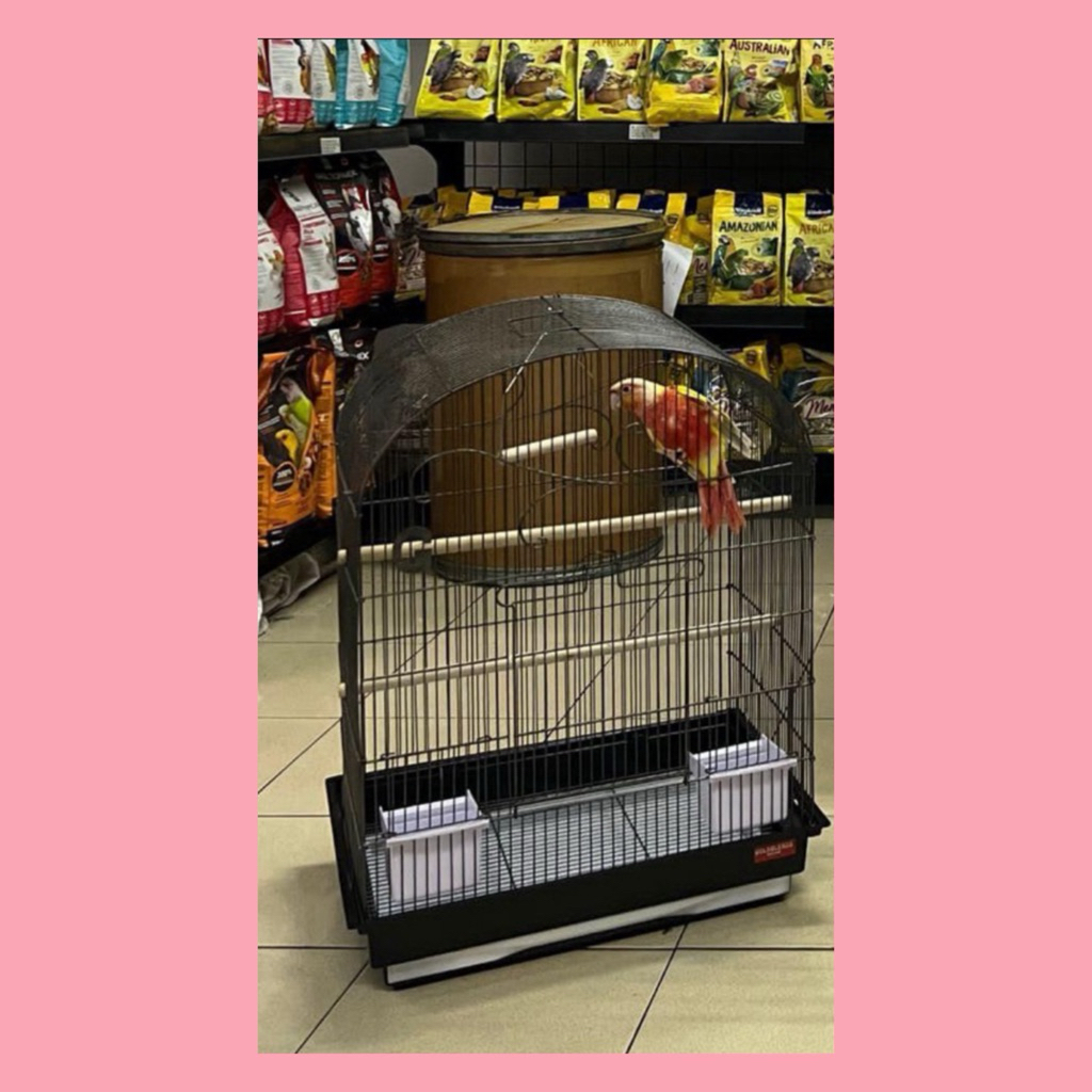 Kandang Parrot Burung Afgrey Nuri Falk Betet Sun Conure Monk