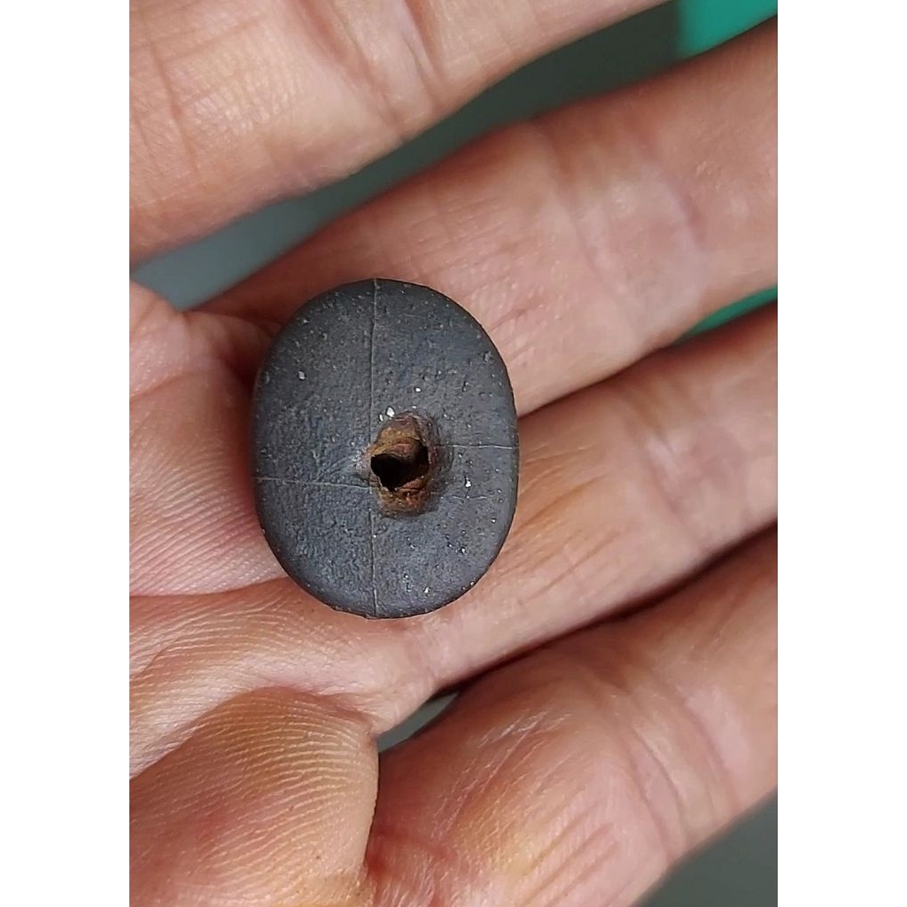 batu tapak jalak combong benang serambut timbul