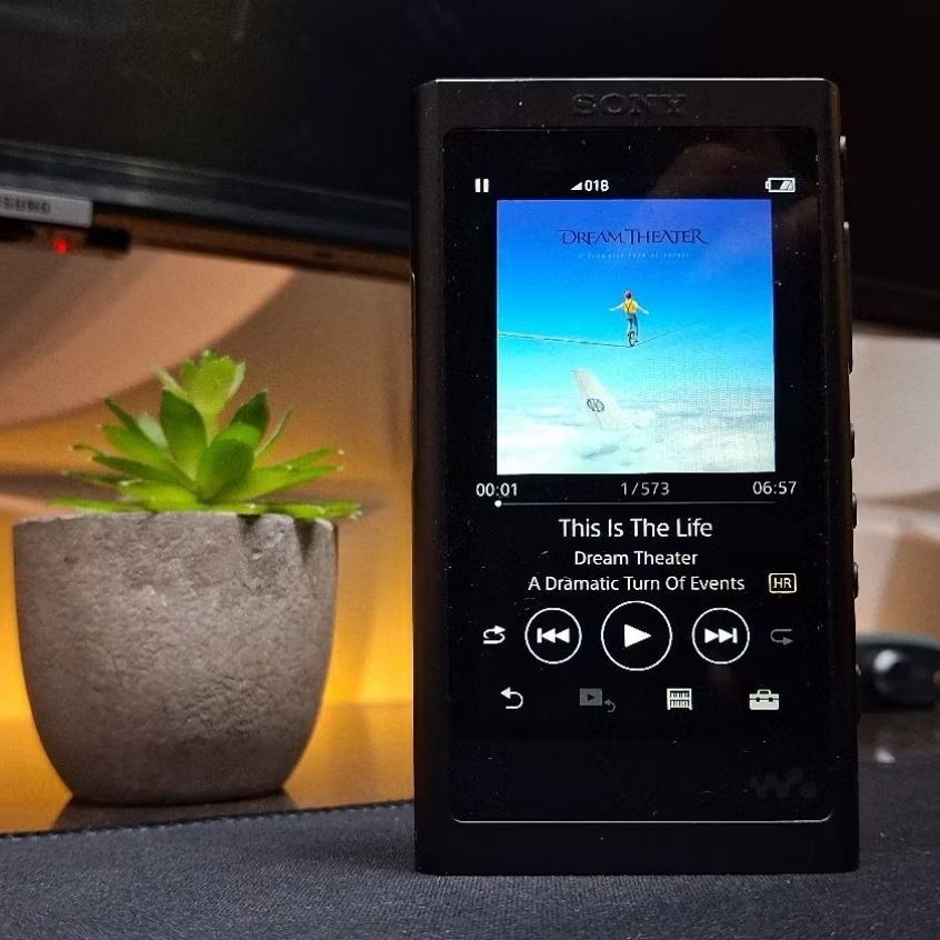 Sony Walkman NW-A55 NW A55 DAP Digital Audio Music Player Grayish Black